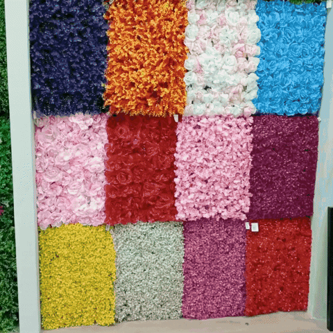 Indoor20 giphyupload GIF