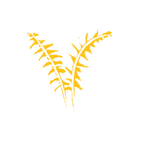 Tetaiao Sticker by Department of Conservation