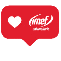 Imefu Sticker by IMEF Universitario
