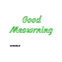 Good Morning Cat Sticker by vankedisi