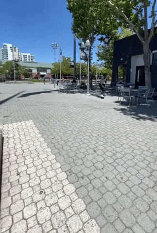 warmupzone giphyupload GIF