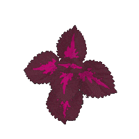 Flower Blomma Sticker by Edberg