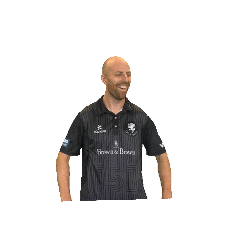 England Cricket Ball Sticker by Somerset County Cricket Club