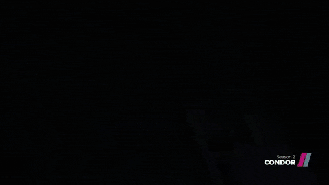 Condor GIF by Showmax