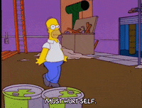 homer simpson GIF
