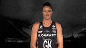 fly collingwood GIF