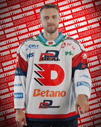 Hockey Czech GIF by HC Dynamo Pardubice