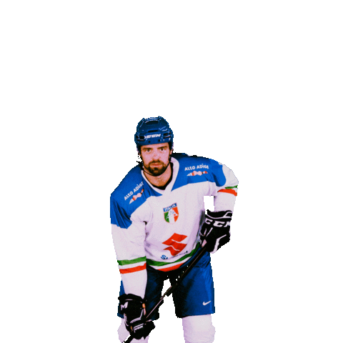 federazioneghiaccio hockey ice wintersport sportinvernali Sticker