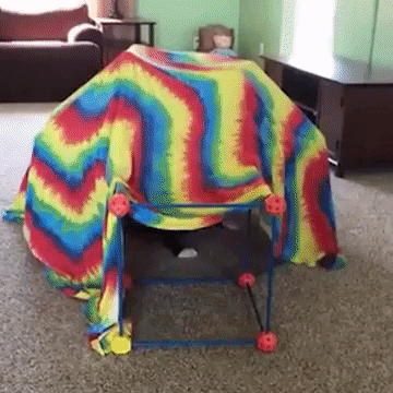 Fannab giphygifmaker GIF