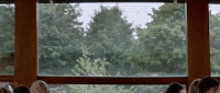 thelma GIF by The Orchard Films