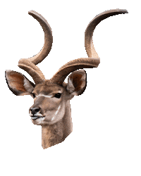 Amsterdam No Sticker by ARTIS