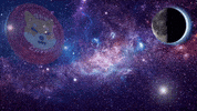 To The Moon GIF by SHIB MEMES