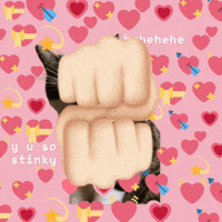 Cute Cat GIF by Furrend