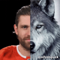 Edmonton Oilers GIF
