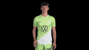 Well Done Good Job GIF by VfL Wolfsburg