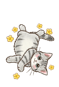 Cat Sticker
