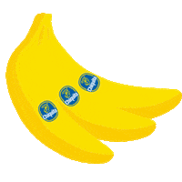 happy on the go Sticker by Chiquita