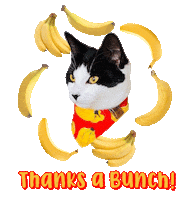 Cat Thanks Sticker