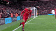 lfc watford GIF by Liverpool FC