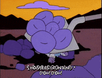 homer simpson GIF