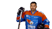 unisflyers goal eagles flyers nederland Sticker