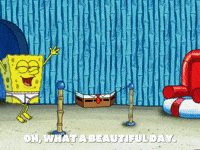 season 5 GIF by SpongeBob SquarePants