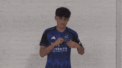 Soccer Kiss GIF by San Jose Earthquakes