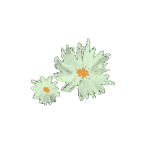 Summer Vintage Sticker