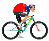 Red Bull Sport Sticker