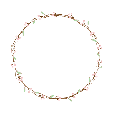 elistorycriativo circle circulo circle white elistorycriativo circulo branco Sticker