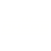 Logo Colors Sticker by CHESS