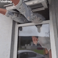 GIF by ViralHog