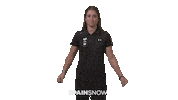 rfedinv nora sbs cornell rfedi Sticker