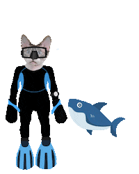 Shark Week Cat Sticker