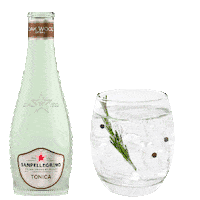 Sparkling Gin Tonic Sticker by bibitesanpellegrino