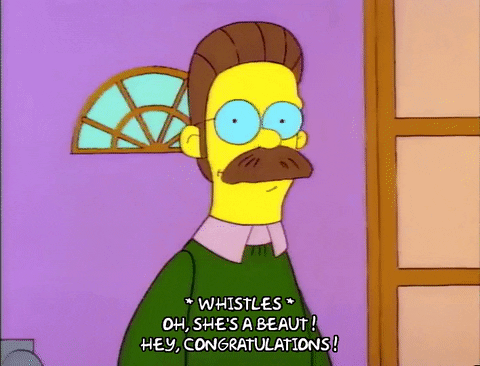 Season 1 GIF by The Simpsons