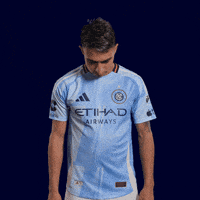 Mls GIF by New York City FC
