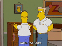 homer simpson GIF