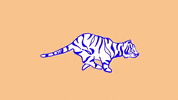 tiger running GIF by Portugal. The Man
