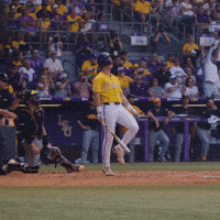 College Sports Baseball GIF by LSU Tigers