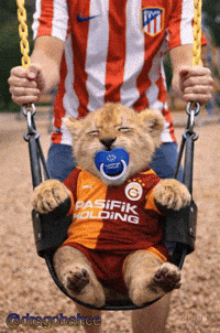 Atletico Madrid GIF