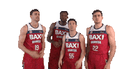 Liga Endesa Basketball Sticker by ACB