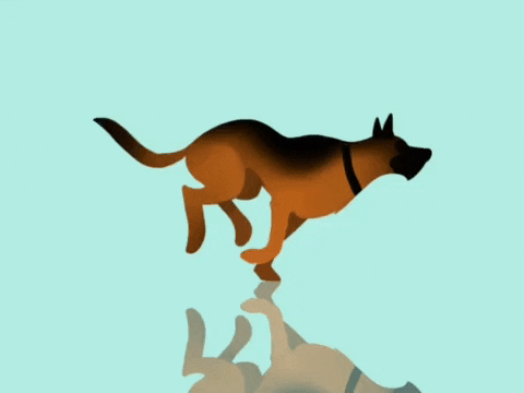 KProSports giphyupload illustration frenzy frenzink GIF