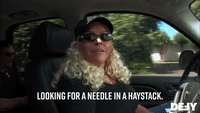 Looking For A Needle In A Haystack 