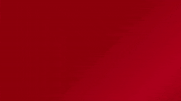 New Year Rat GIF by toyfantv
