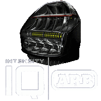 latamarbusa lights iq arb intensity Sticker