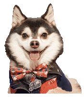 Hot Stuff Hello Sticker