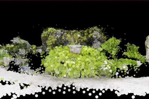 lxmill giphyupload GIF