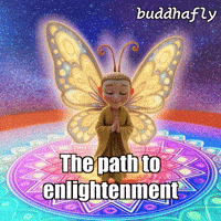 Peace Rain GIF by BuddhaFlyJourney