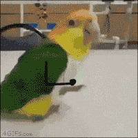 GIF by Demic
